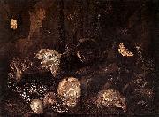 Otto Marseus van Schrieck Still life with Insects and Amphibians painting